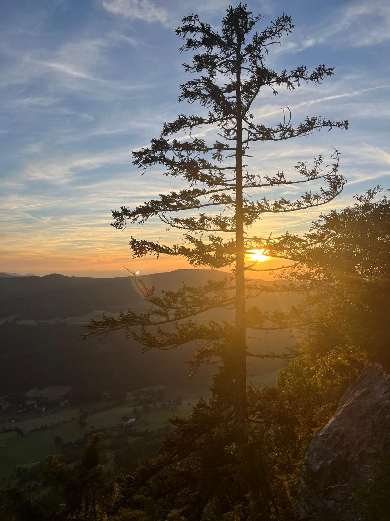 Gite La Morandiere Saint-Martin-en-Vercors ภายนอก รูปภาพ