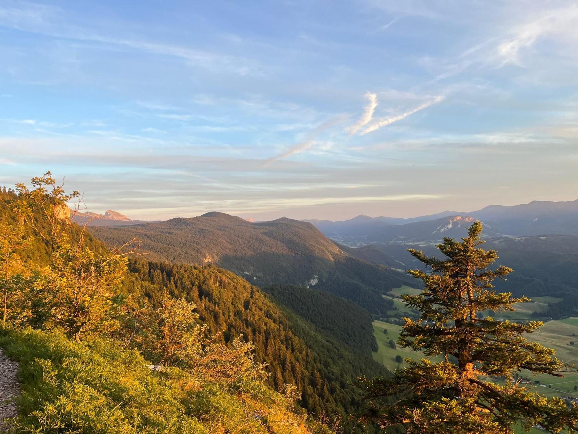 Gite La Morandiere Saint-Martin-en-Vercors ภายนอก รูปภาพ